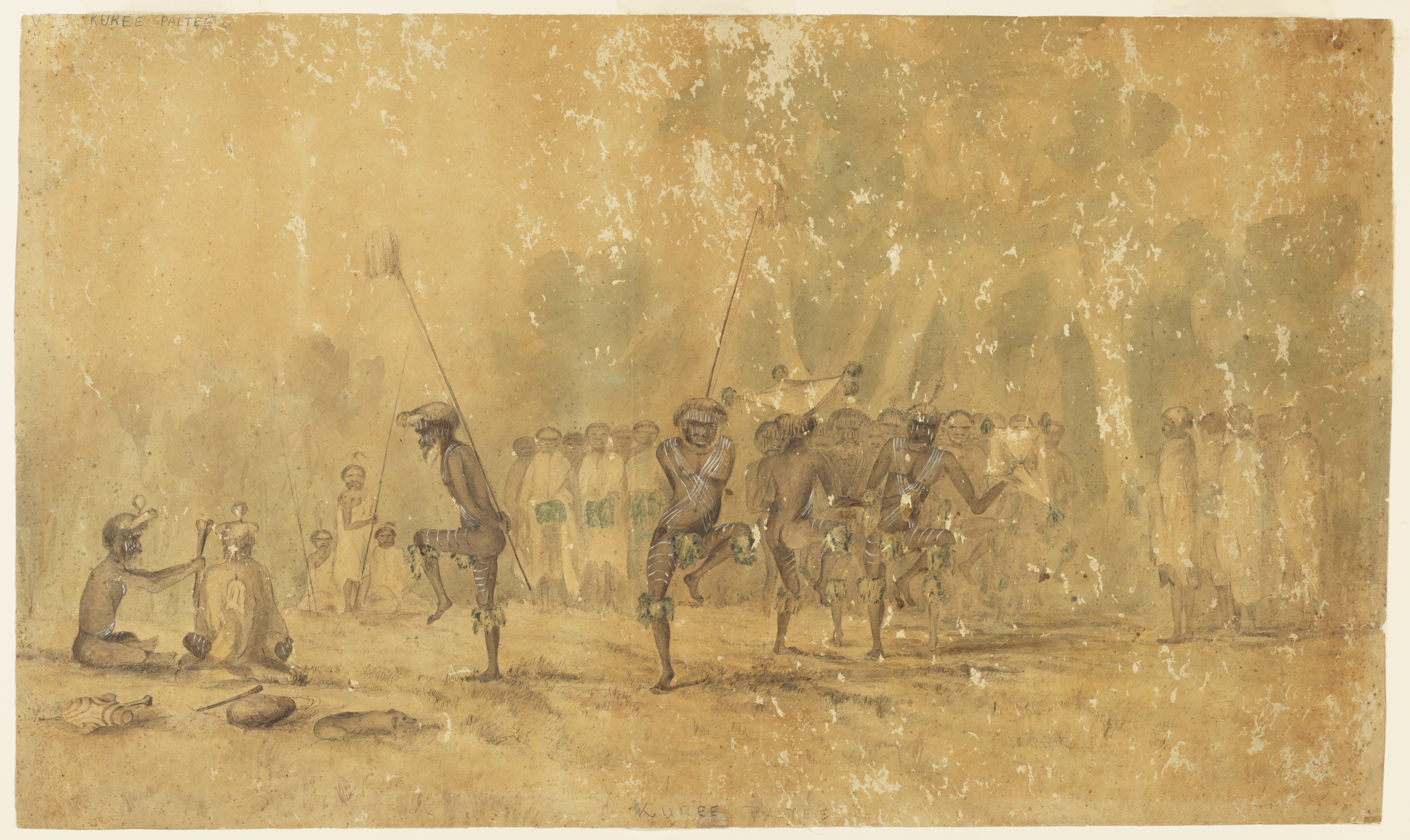 Thumbnail image for SLNSW-M V/96