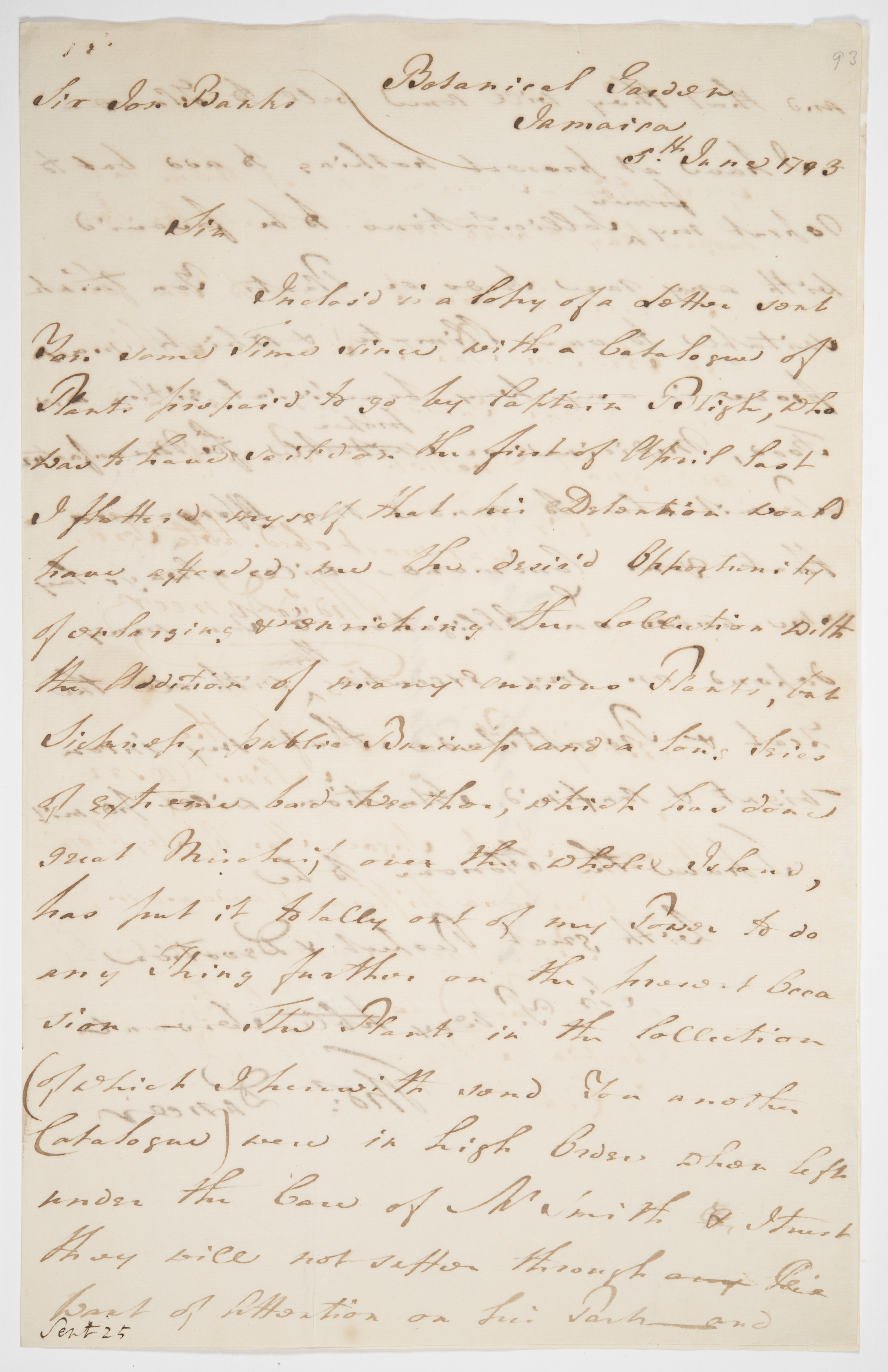 FL3185986