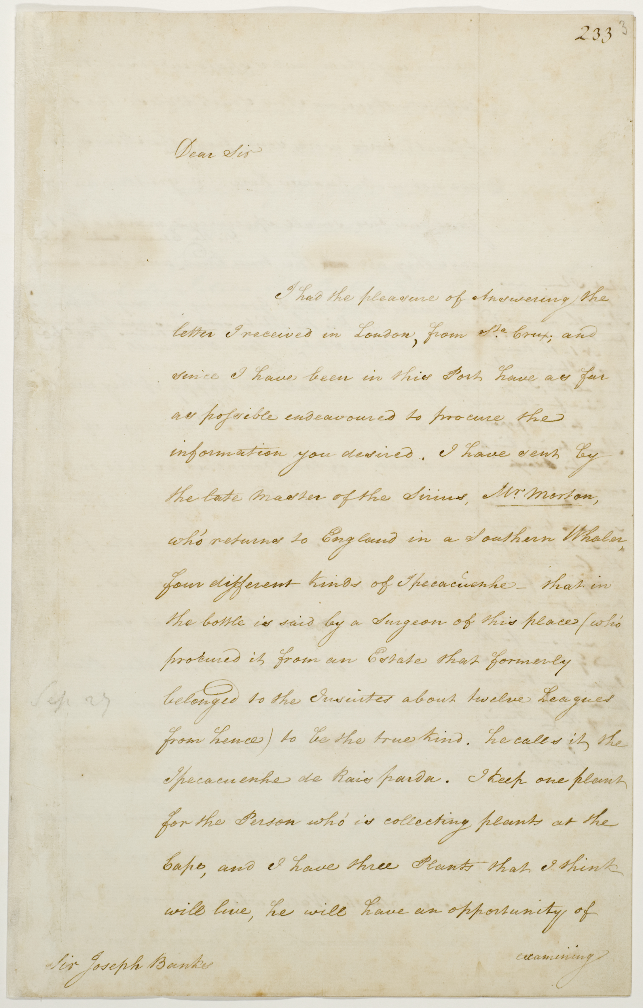 Series 37.02: Letter received by Banks from Arthur Phillip, 2 September  1787 | State Library of NSW