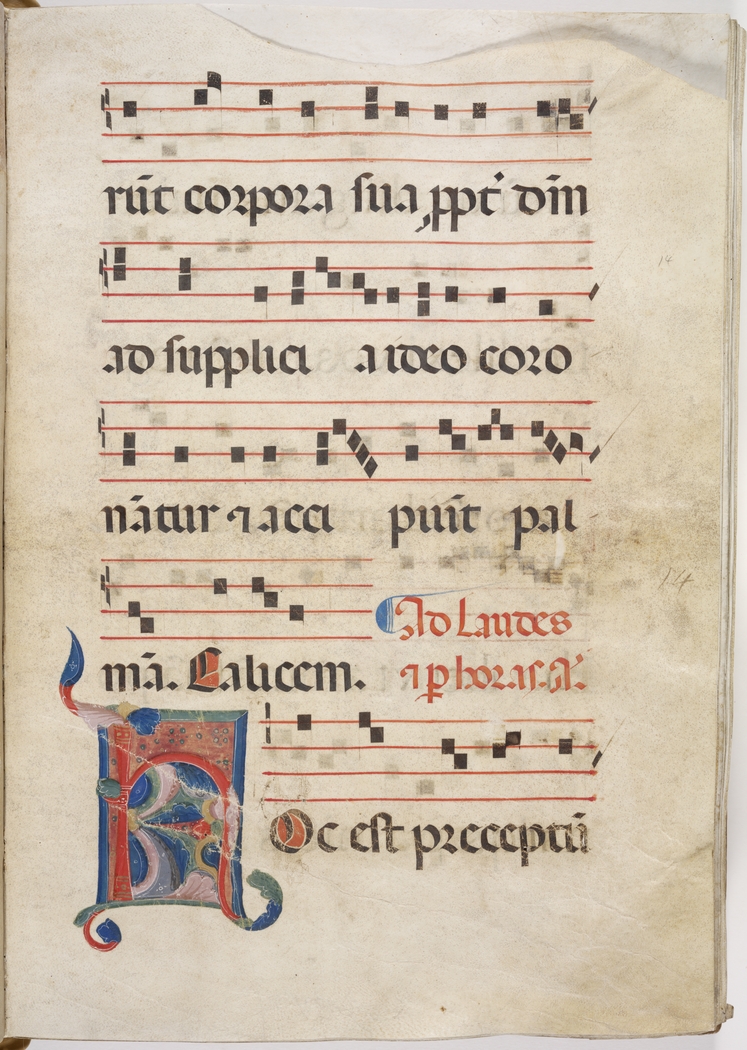 Antiphonal: Common of the Saints illustrated by Neri da Rimini. Italy, 1328